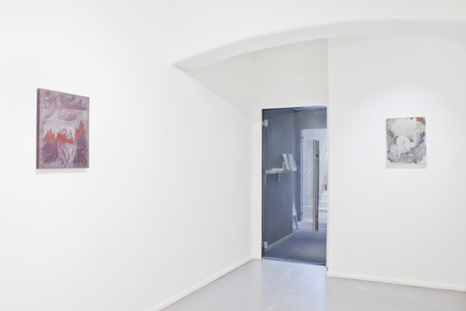 The ACARDIAN State' solo exhibition, SUMARRIA LUNN,2013